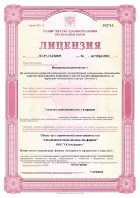 лицензия